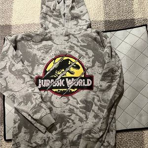 Big boys size 11-12 years Hoodie Bundle